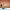 BA2_Dance_End_of_Year_Show_23_SBW_001_APPROVED_rgb