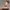 Contemporary-introduction-image-option-2-scaled-aspect-ratio-16-9