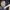 Dr-Robert-Wells-aspect-ratio-750-750