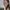 Emilie_Capulet-aspect-ratio-750-750 Picture of Dr Emilie Capulet