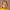 JessAlade-2722-aspect-ratio-750-750