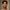 thumbnail_image0-aspect-ratio-750-750