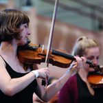 Violin images