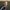 Wayne-McGregor-photo-Pal-Hansen-high-res-crop-2-aspect-ratio-750-750